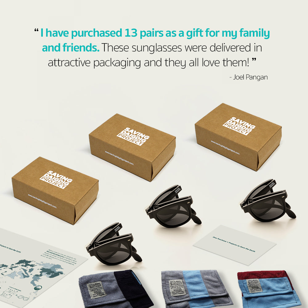 Earth Protector™ Foldable Eyewear - Matte Black