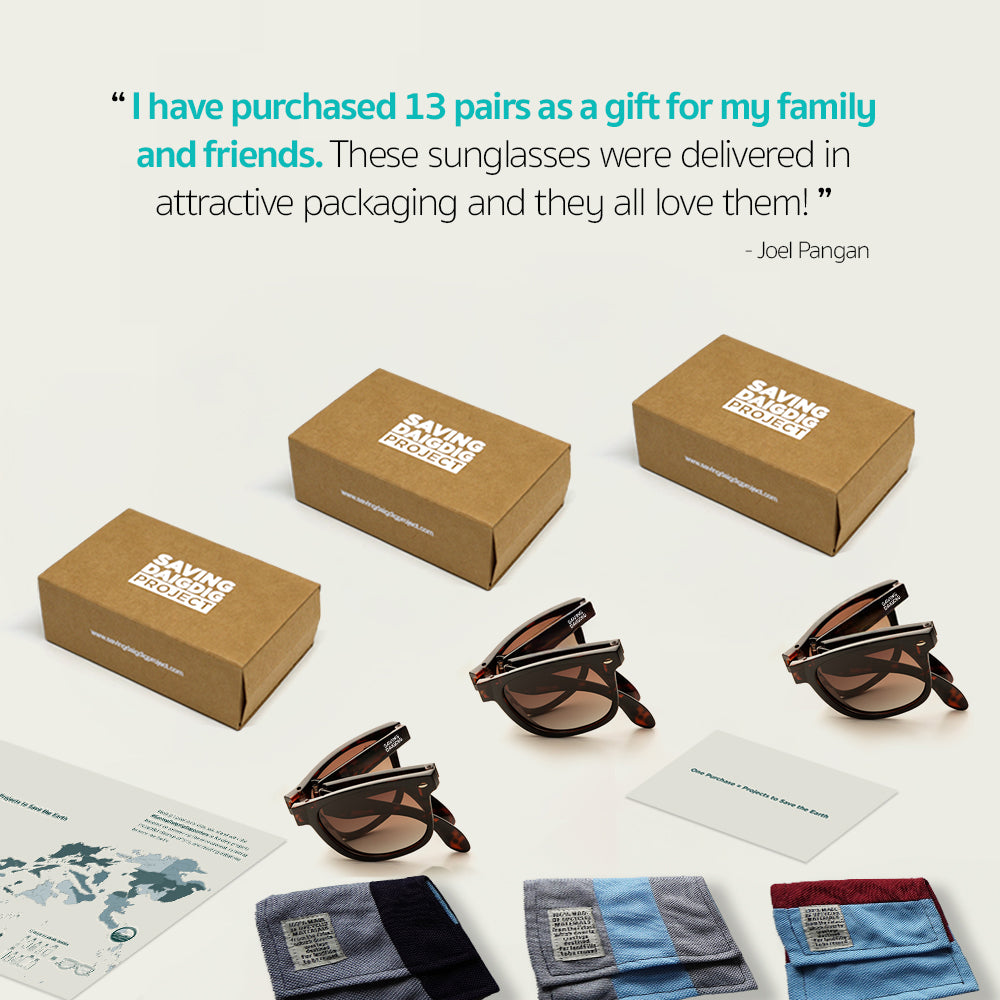 Earth Protector™ Foldable Eyewear - Classic Brown