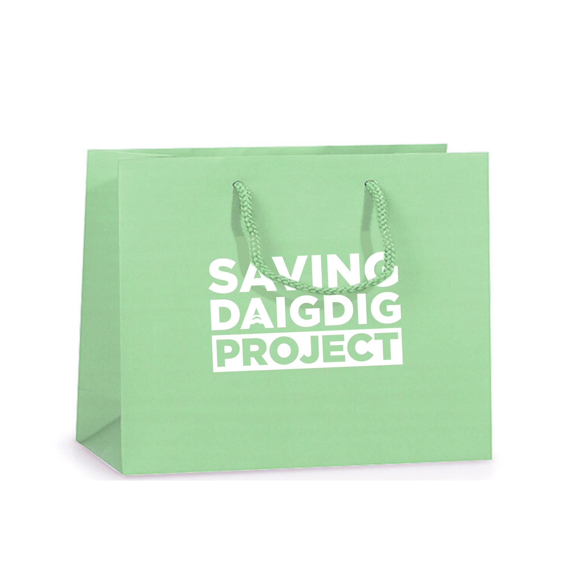 Paper Bag
